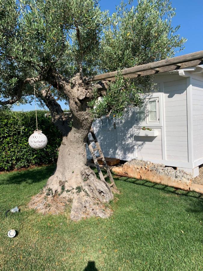 B&B Villa Grassi Alberobello Kültér fotó