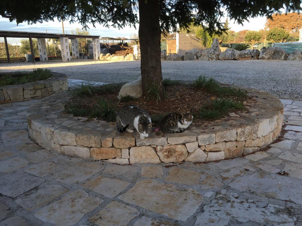 B&B Villa Grassi Alberobello Kültér fotó