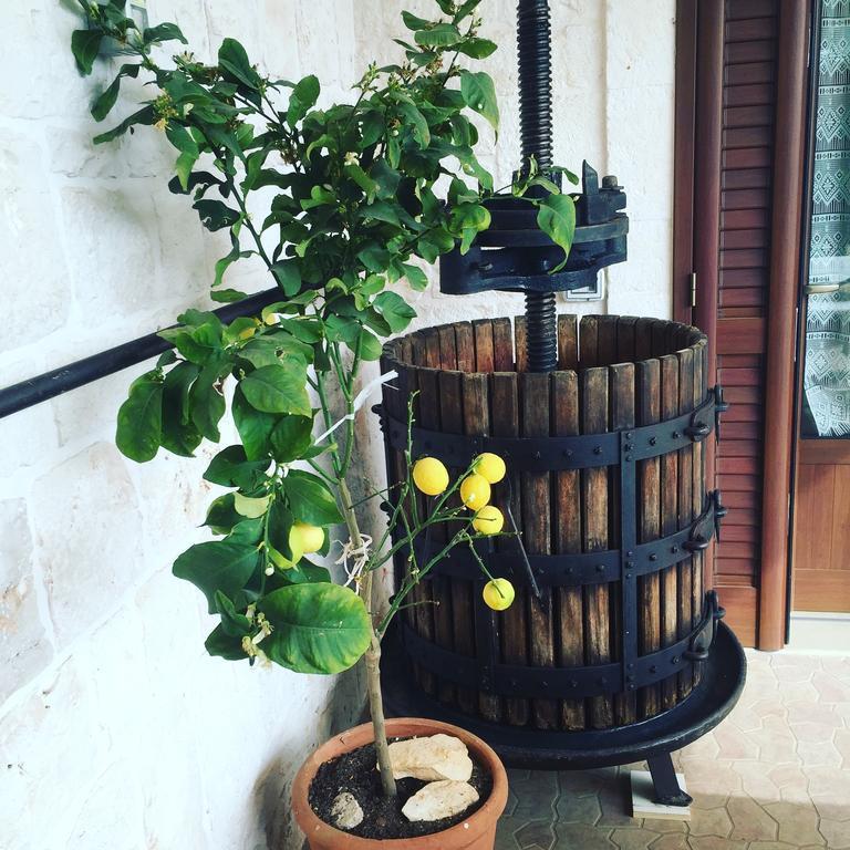 B&B Villa Grassi Alberobello Kültér fotó